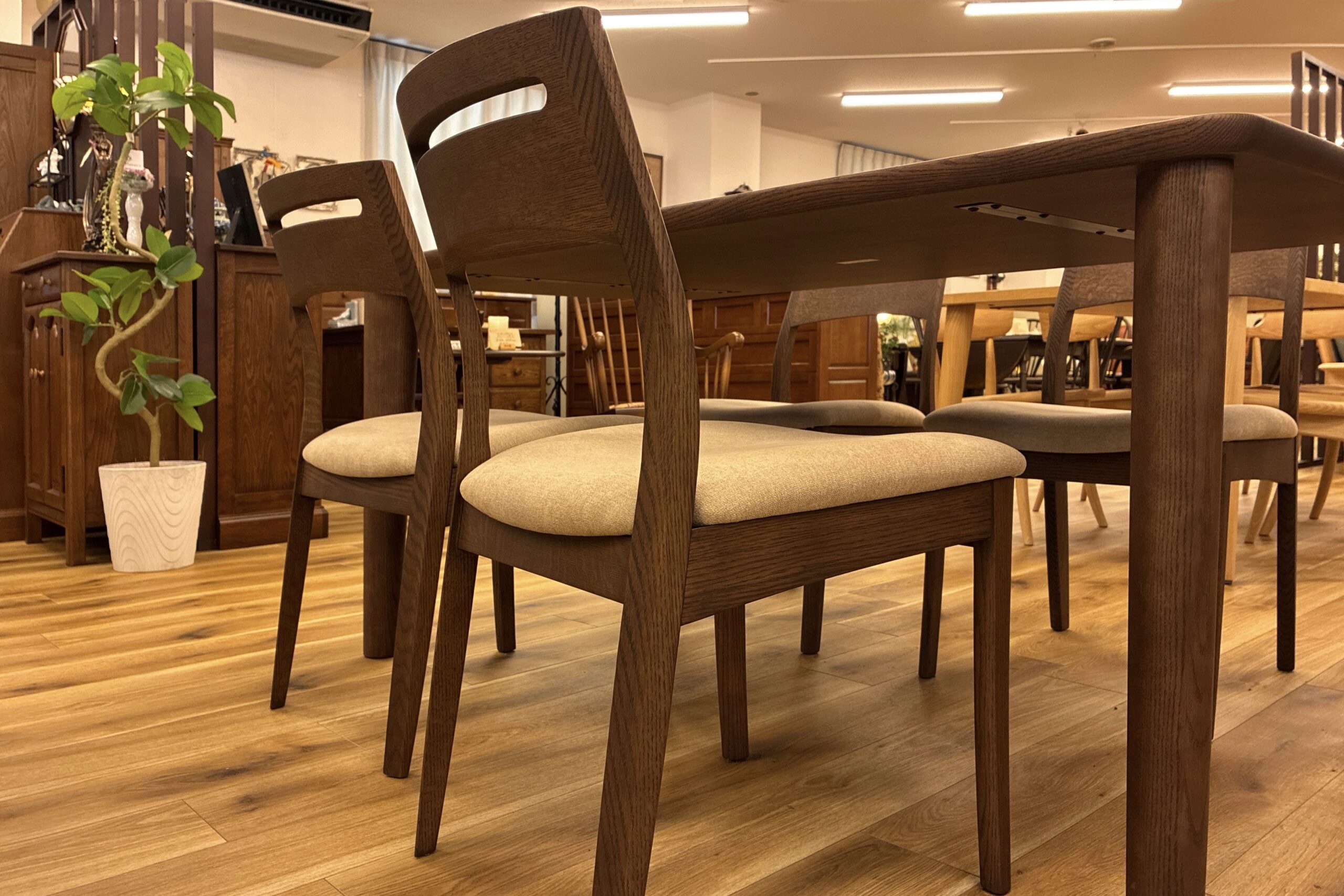 飛騨家具,shirakawa,シラカワ,Hals,ハルス,国産,ソファダイニング,テーブル,チェア,天然木,枚方家具団地,木匠舘マイ・ドゥ